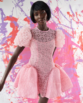Auri Dress Pink - CELIA B